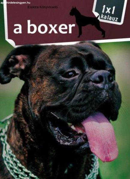 A boxer