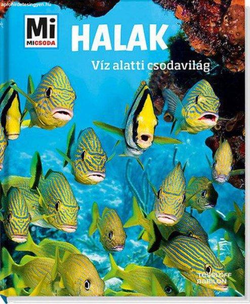 Halak - Víz alatti csodavilág