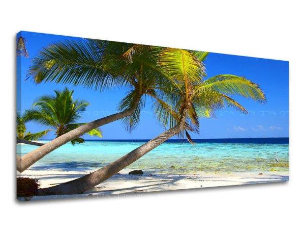 PANORAMA BEACH falfestmény Kedvezmény 60% 70X140 cm