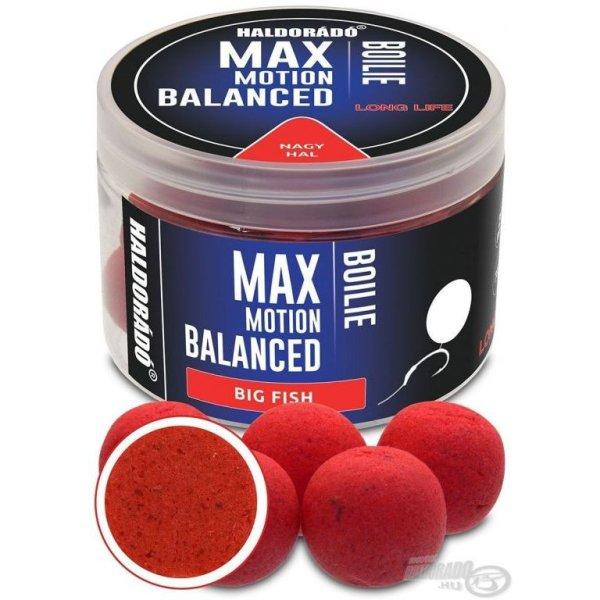 HALDORÁDÓ MAX MOTION Boilie Balanced 20 mm - Nagy Hal 70g