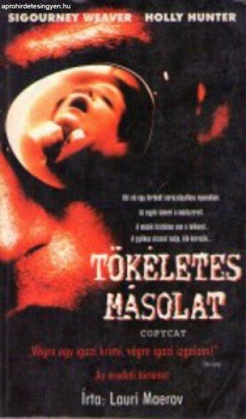 Tökéletes másolat - Lauri Maerov