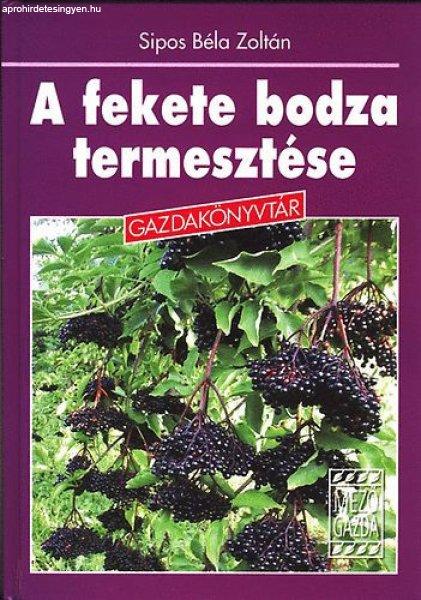 A fekete bodza termesztése - Sipos Béla Zoltán