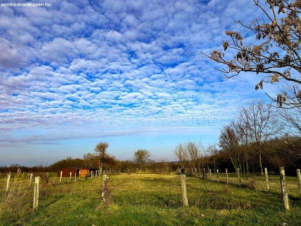 Balatonőszödön belterületi építési telek háztervekkel eladó!