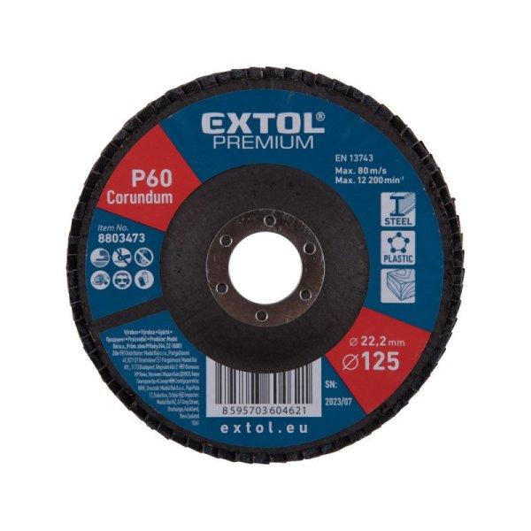 EXTOL PREMIUM lamellás csiszoló acél, Alu, műa. és fa munkadarabok
csiszolására, 125×22mm; P40, kúpos, max.:12.300 ford./perc, E