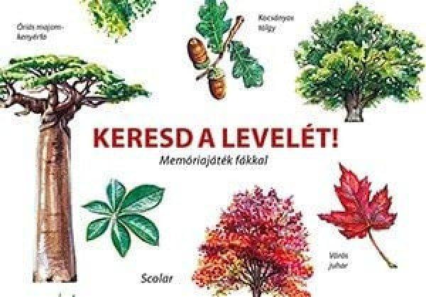 Keresd a levelét! - Memóriajáték fákkal