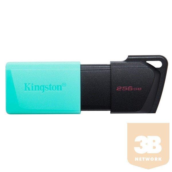 KINGSTON 256GB DataTraveler Exodia M