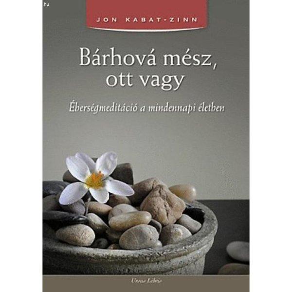 Jon Kabat-Zinn - Bárhová mész, ott vagy