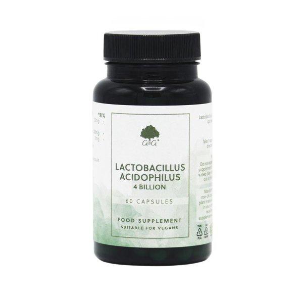 Lactobacillus Acidophilus 60 kapszula - G&G