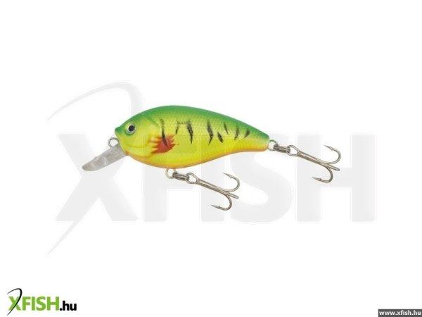 Gold Star Wobbler Fat Col:1