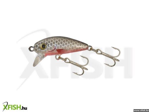 Gold Star Wobbler Perch-1 Col:16
