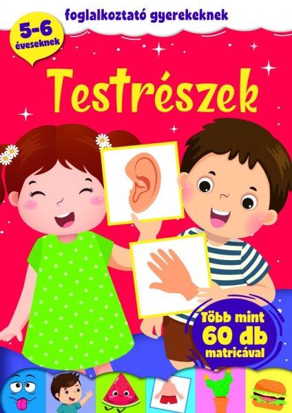 Testrészek - foglalkoztató gyerekeknek (szállítási sérült)