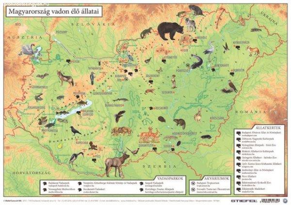 Könyökalátét, kétoldalas, A3, STIEFEL "Magyarország vadon élő
állatai / Magyarország állatvilága"