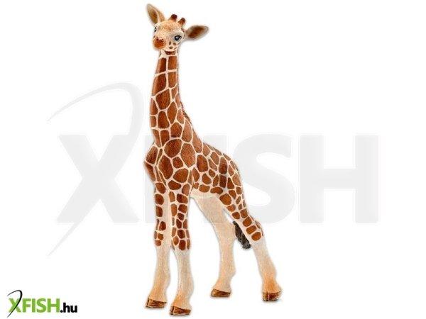 Schleich: zsiráfborjú figura