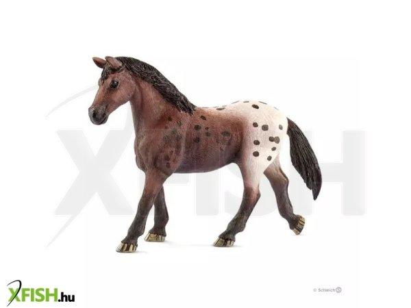 Schleich: Appaloosa kanca figura 13861