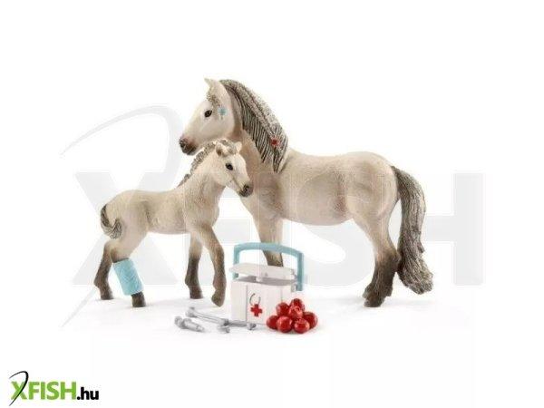 Schleich Horse Club: Hanna Elsősegély szett 42430