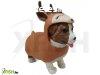 Dress Your Puppy: llati kiskutyk 2. szria - Jack Russel s