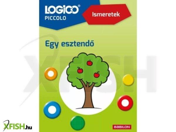 Logico Piccolo: Ismeretek - Egy esztendő