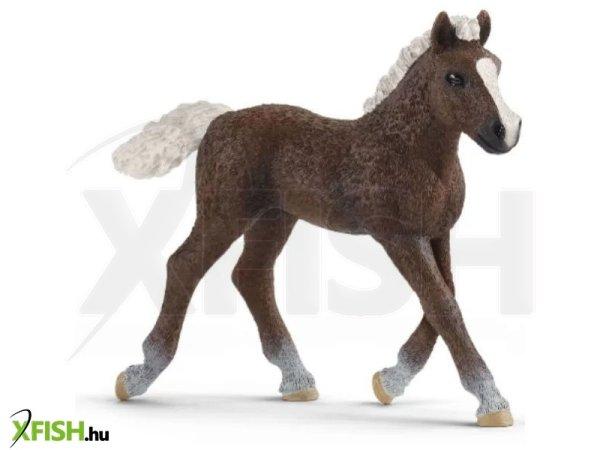 Schleich: Schwarzwaldi csikó figura 13899