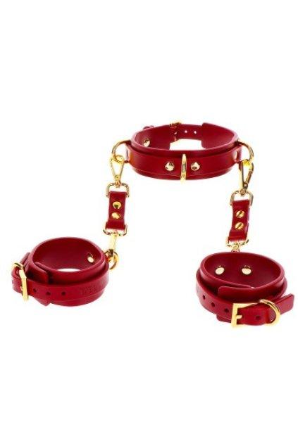 Taboom Bondage in Luxury D-Ring Collar and Wrist Cuffs