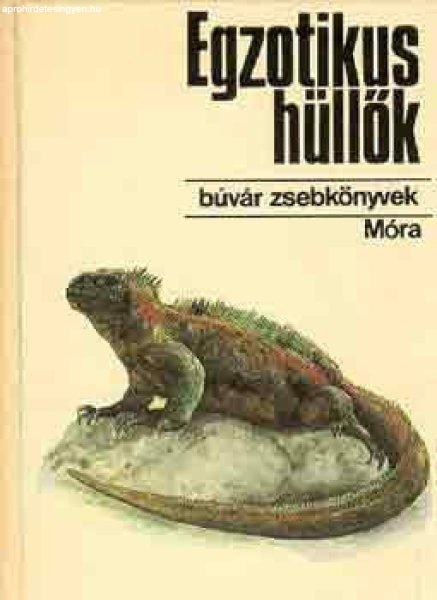 Egzotikus hüllők (Búvár zsebkönyv) - Janisch-Kőnig