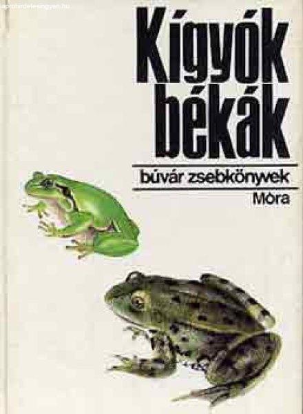 Kígyók, békák (búvár zsebkönyvek) - Janisch-Zsámboki