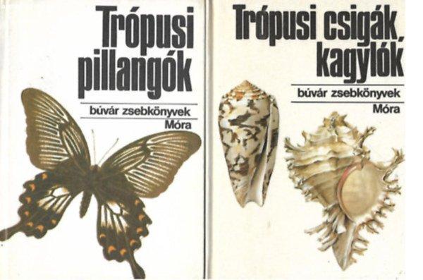 Trópusi pillangók+ Trópusi csigák, kagylók (Búvár zsebkönyvek) 2 kötet
- 