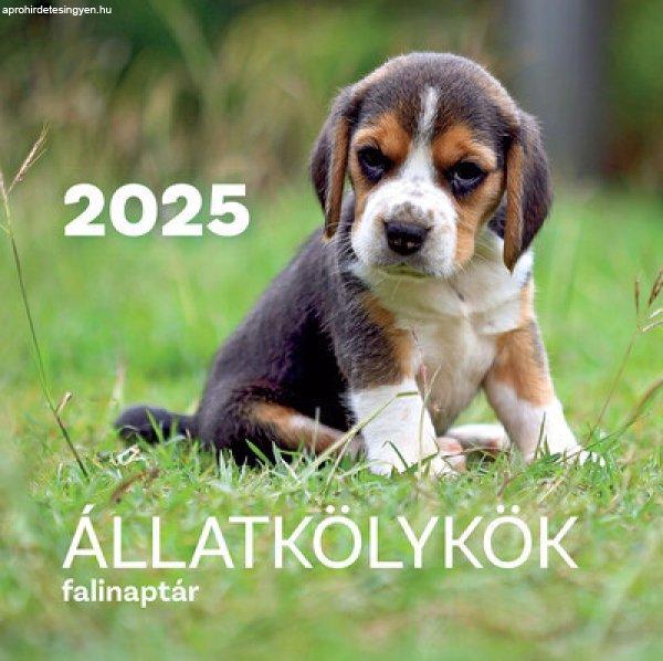 Állatkölykök falinaptár - 2025