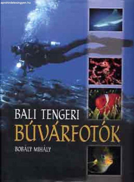 Bali tengeri búvárfotók - Bobály Mihály