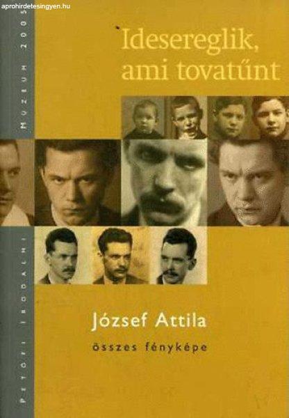 Idesereglik, ami tovatűnt - József Attila összes fényképe - 