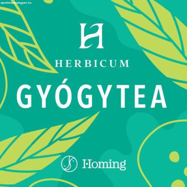 FITODRY GYÜMÖLCSTEA VADCSERESZNYE 100G