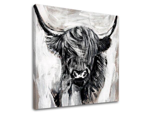 Vászonkép BULL 001 60x60 cm 60x60 cm