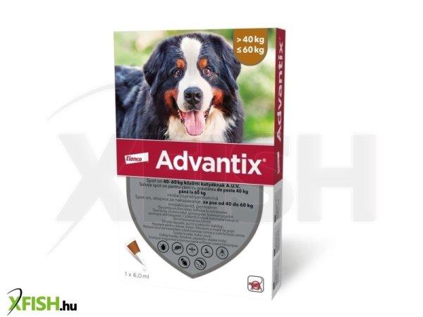 Advantix spot on 40-60 kg közötti kutyáknak AUV 4 x 6 ml