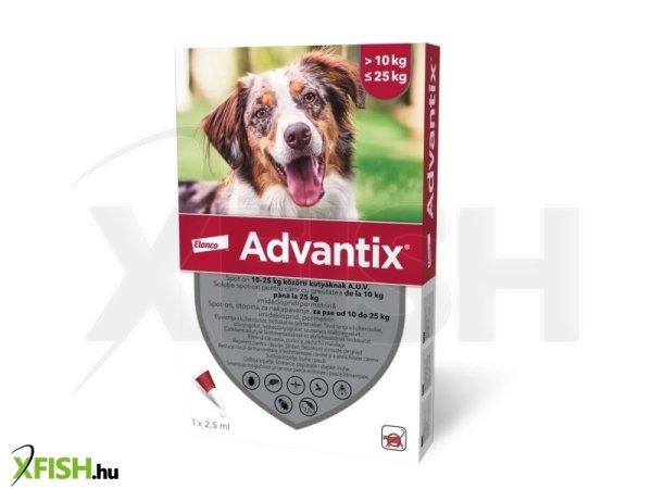 Advantix spot on 10-25 kg közötti kutyáknak AUV 4 x 2,5 ml