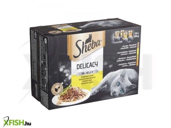 Sheba alutasak 12 pack szárnyas 12*85gr multipack, 4 db/csomag