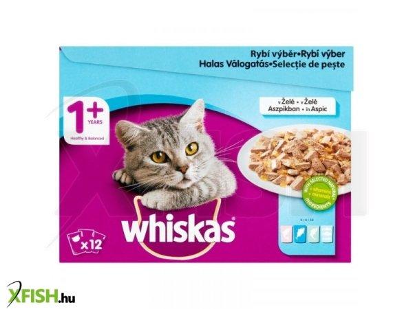 Whiskas alutasak 12-pack halas válogatás aszpikban 12x85g Multipack