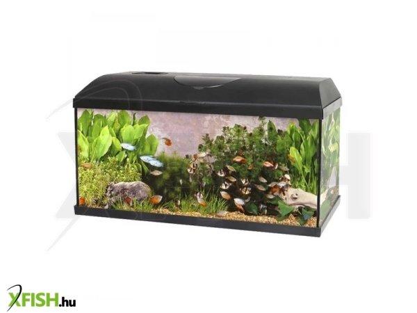 Akvárium Szett+Szűrő+Fűtő Pacific Eco Light 54l, 60x30x30cm