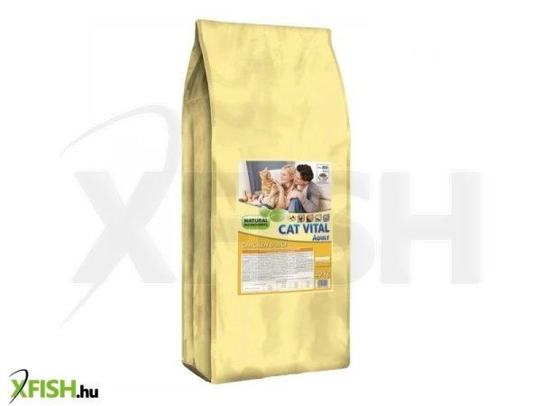 Cat Vital Adult Chicken & Rice 10kg