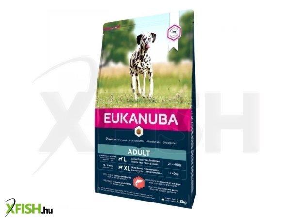 Eukanuba Adult Large Salmon & Barley kutyatáp 2,5kg
