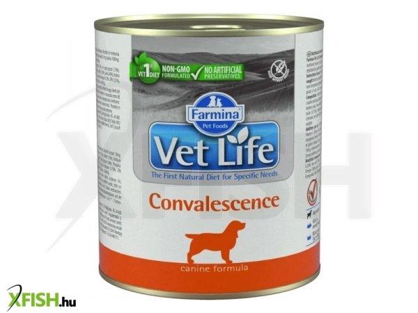 Vet life dog konzerv convalescence 300g
