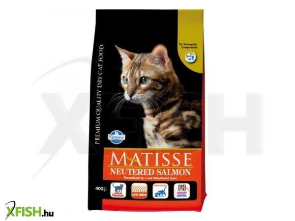 Matisse salmon neutered 400g