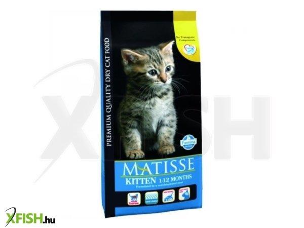 Matisse kitten 10kg