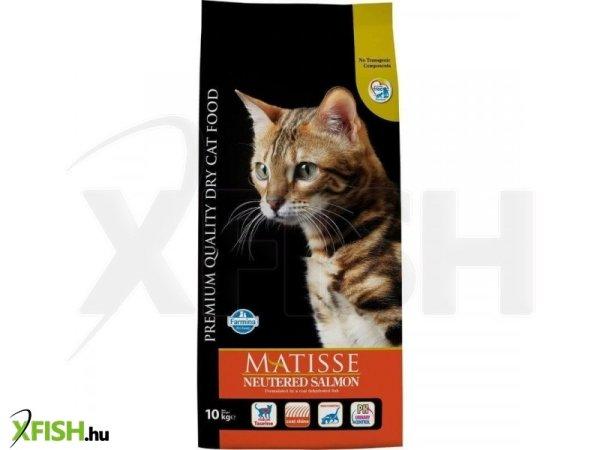 Matisse neutered salmon 10kg