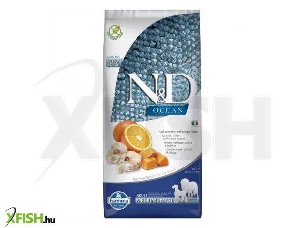 N&d dog ocean tőkehal, sütőtök & narancs adult medium/maxi 12kg