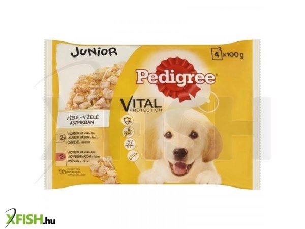 Pedigree alutasakos 100g 4-pack junior csirke & rizs, marha & rizs multipack, 13
db/csomag