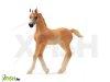 Schleich Horse Club: Arab csik figura 13984