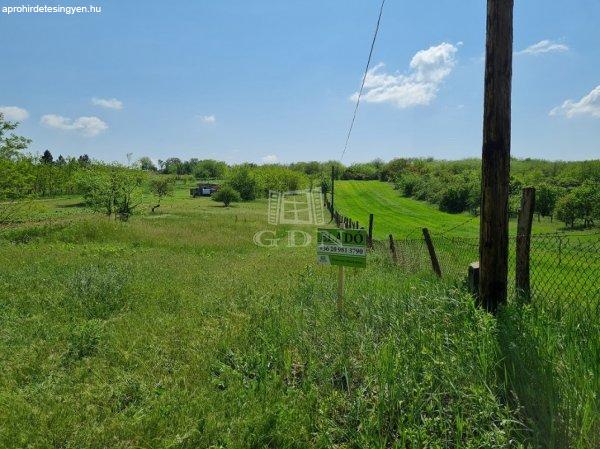 Eladó telek Tápiószecső, 	Zártkert - legelő