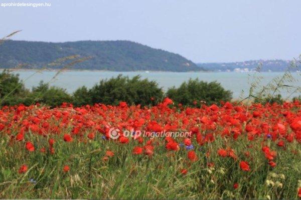 Eladó 700 nm-es Újszerű állapotú Építési telek Balatonudvari Pipacsmező
