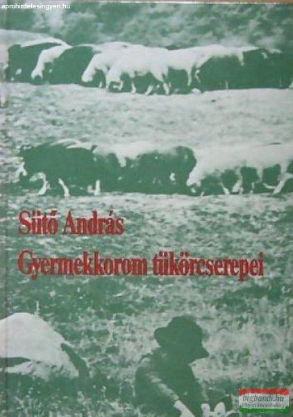 Sütő András - Gyermekkorom tükörcserepei
