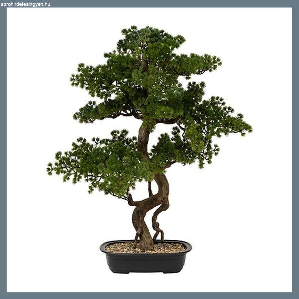 Bonsai fa kerámia edényben 206547
