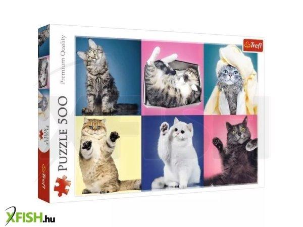 Trefl: Kiscicák puzzle - 500 darabos